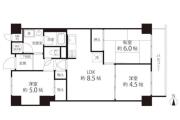 目白ガーデニア 5F間取り画像